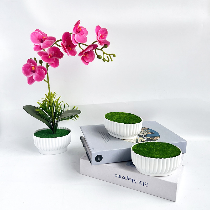 Bonsai Garden Shop - Processo di stampaggio a iniezione resistente
