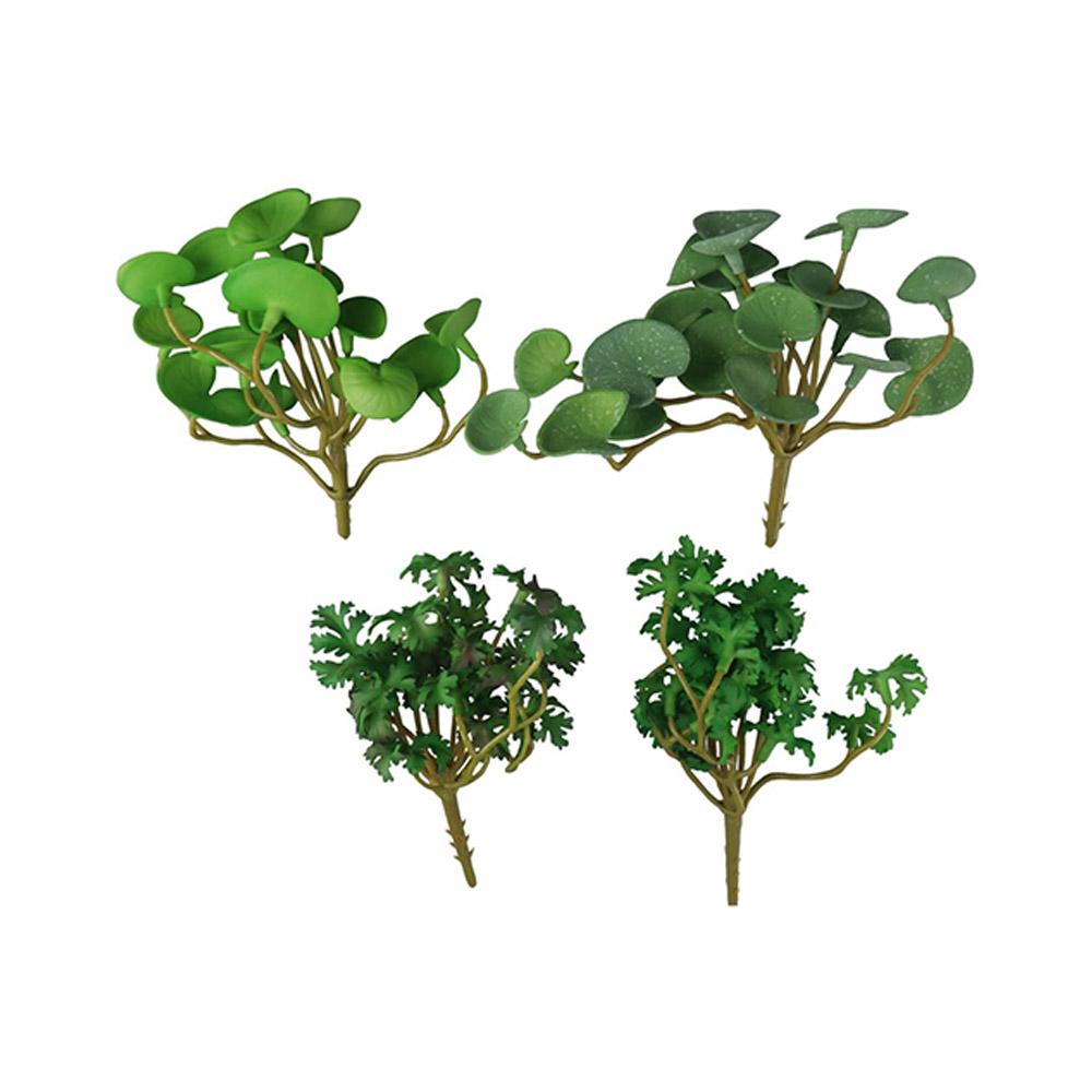 Bonsai Garden Shop - Decorazione per Casa, Ufficio e Giardino,