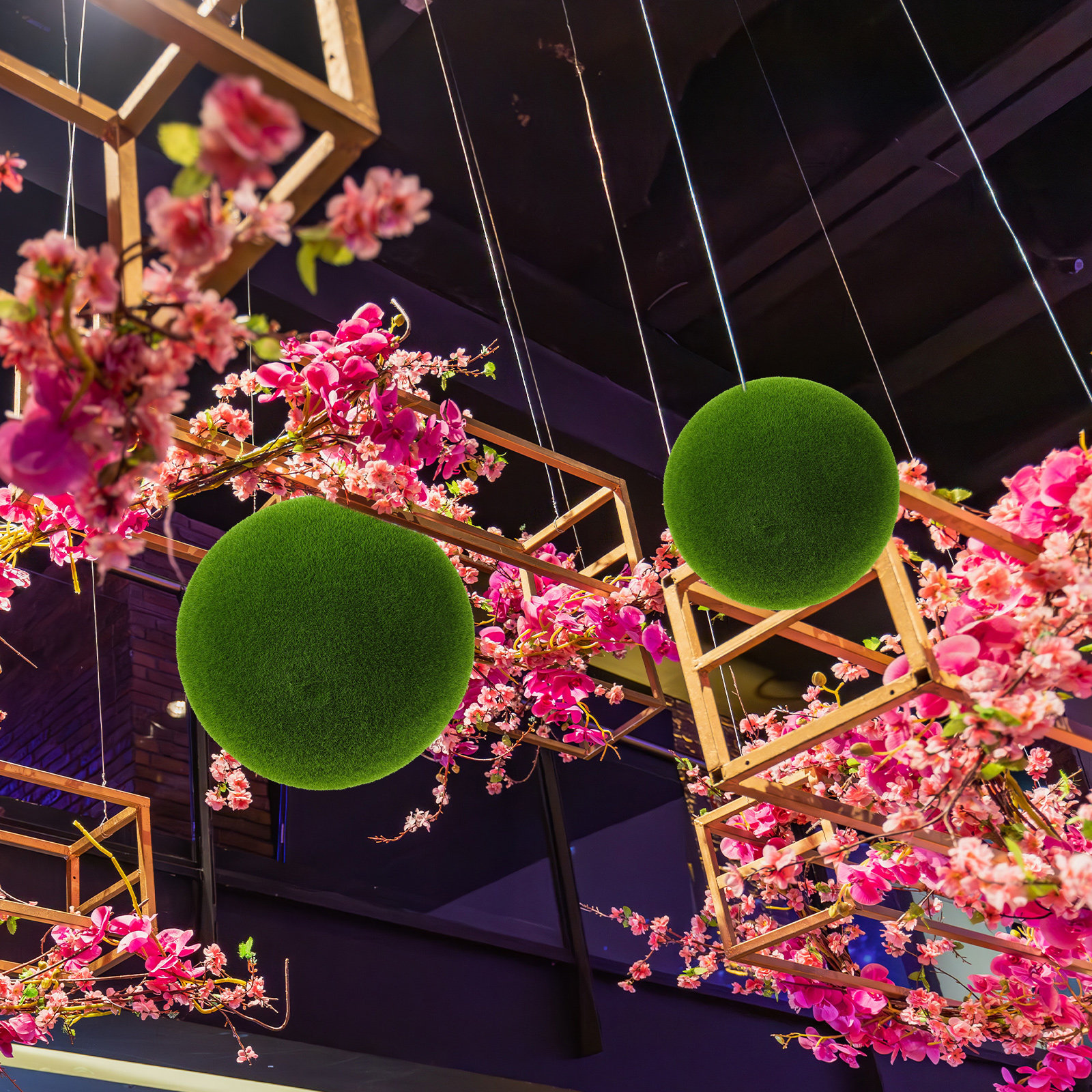 Bonsai Garden Restaurant - Decorazione Realistica con Sfere di Muschio