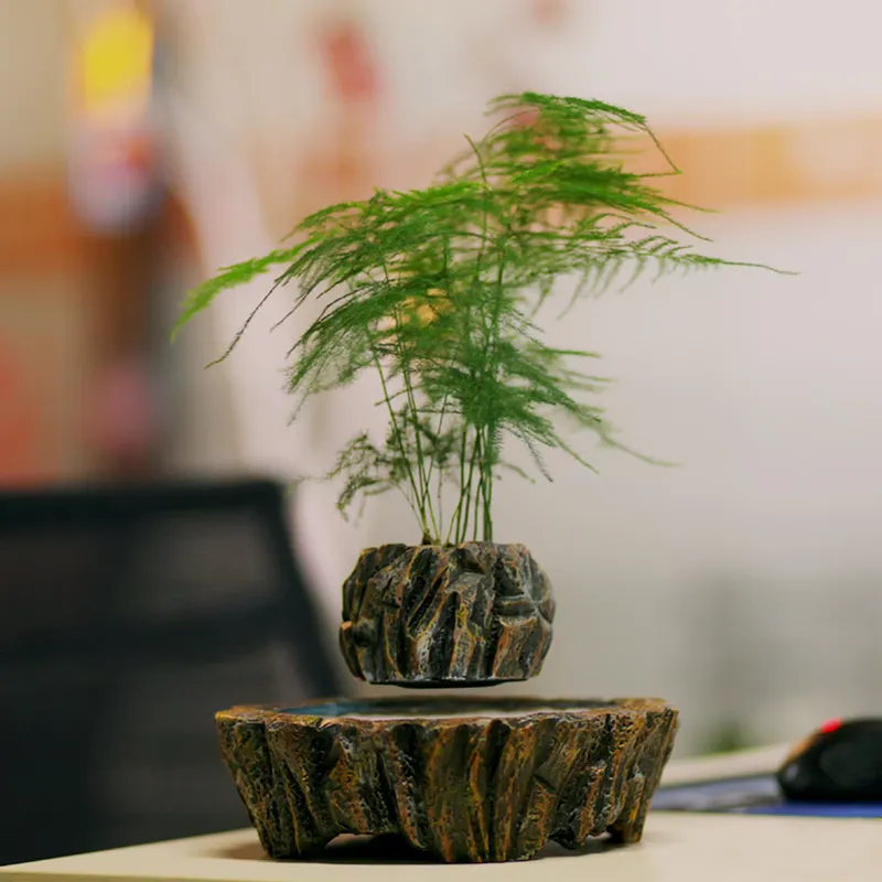 Bonsai Vertical Garden - Vasi per Bonsai in Resina a