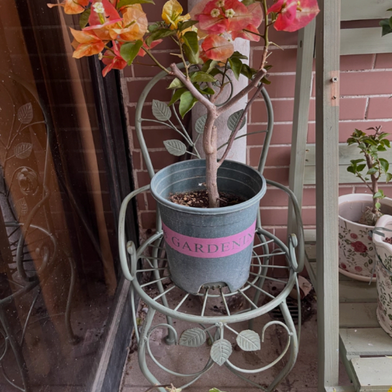Bonsai Vertical Garden - Supporto per Fiori in Ferro a