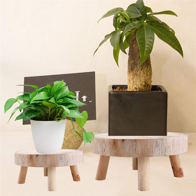Up Bonsai Garden - AS96-Mini Sgabello in legno Espositore per