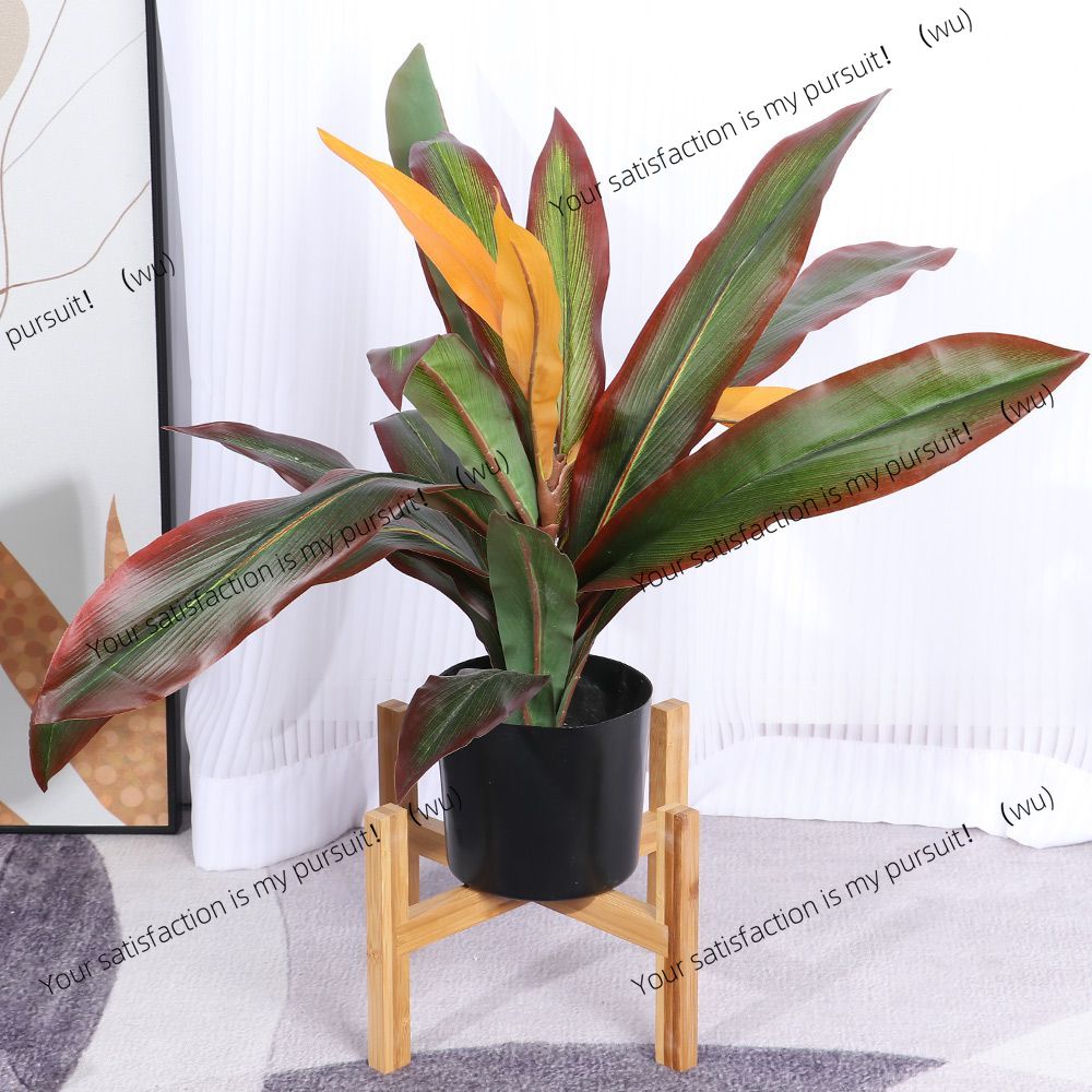 Bonsai Vertical Garden - Espositore verticale in legno per bonsai,