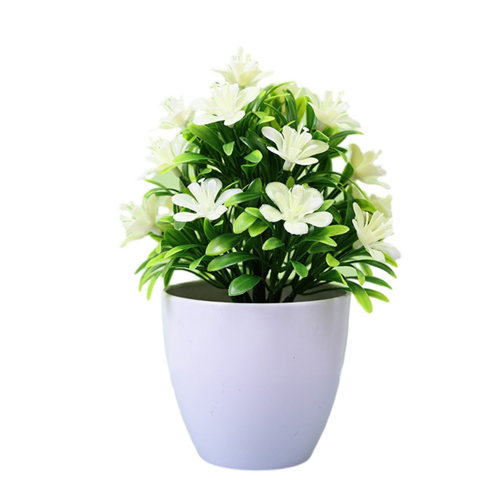 Bonsai Artificiali in Vaso, Pi - Bonsai Garden Shop recensione e prezzo