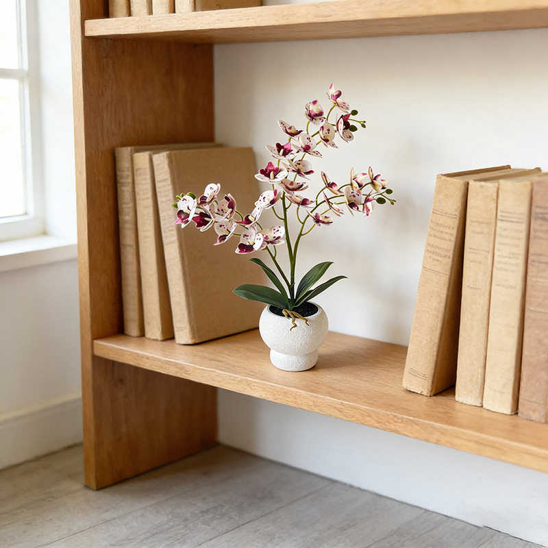 27 Ornamenti di Orchidee a Far - Bonsai Garden Restaurant recensione e prezzo