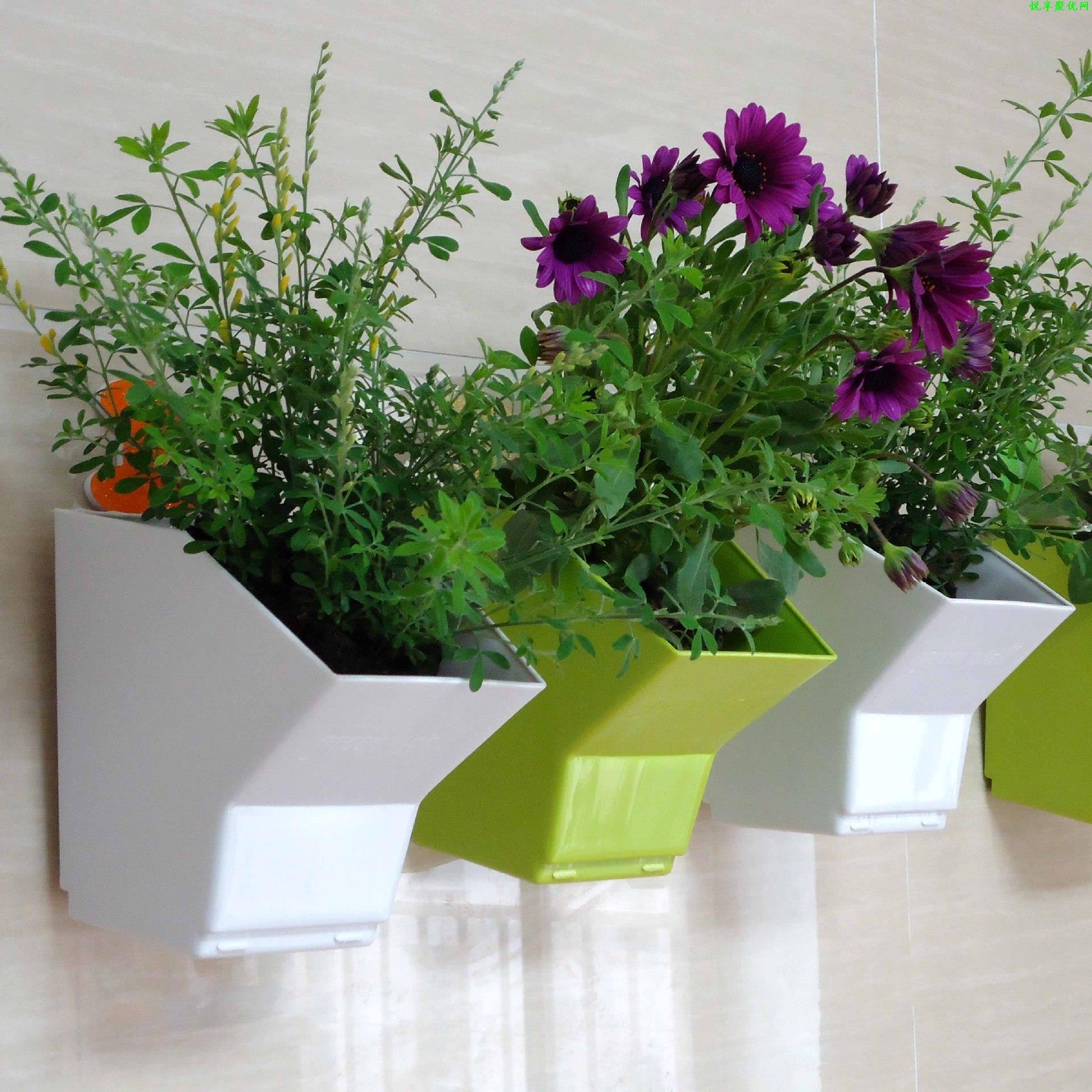 2 pezzi fioriera sospesa a par - Bonsai Vertical Garden recensione e prezzo