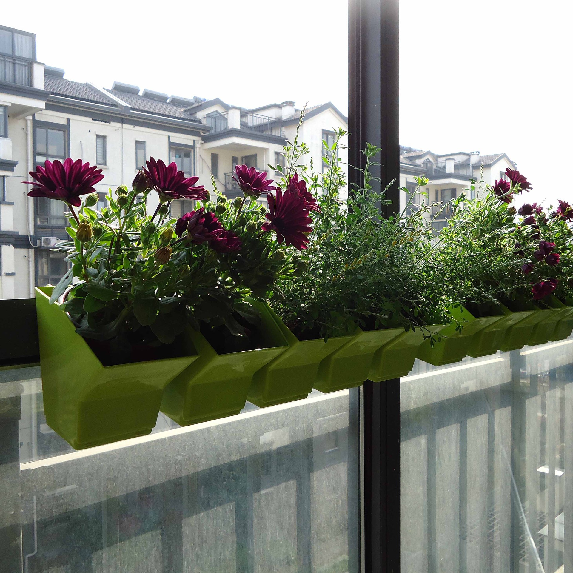 2 pezzi fioriera sospesa a par - Bonsai Vertical Garden recensione e prezzo