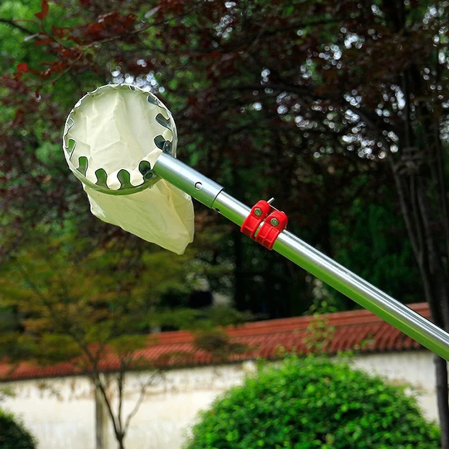 Kit Raccogli Frutta Regolabile - Bonsai Garden Tree recensione e prezzo