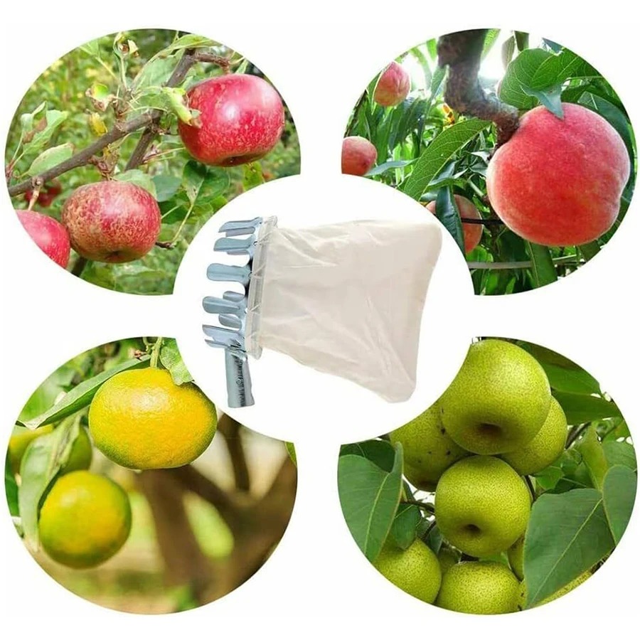Kit Raccogli Frutta Regolabile - Bonsai Garden Tree recensione e prezzo