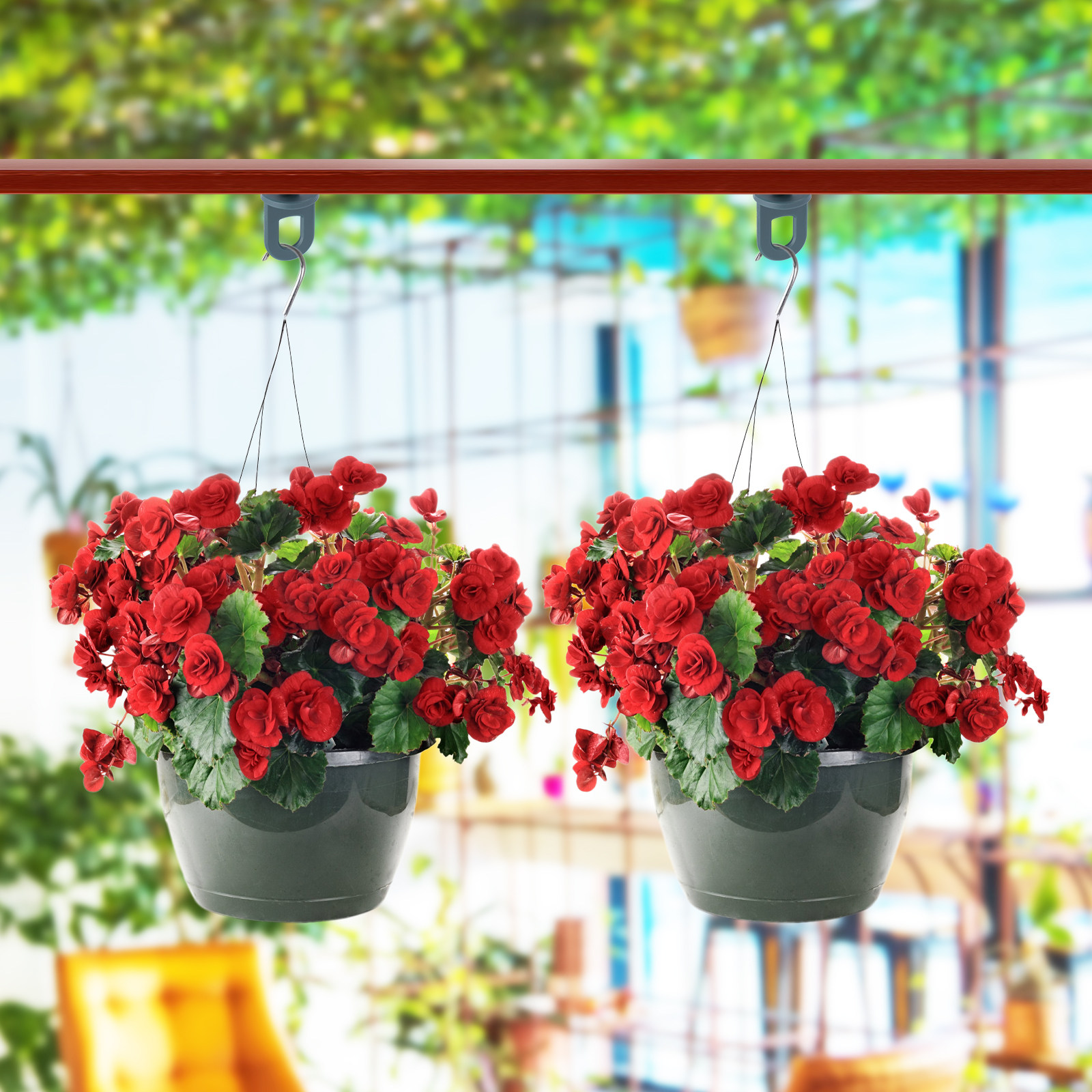 10 Pezzi Ganci per Vasi da Fio - Bonsai Garden Shop recensione e prezzo
