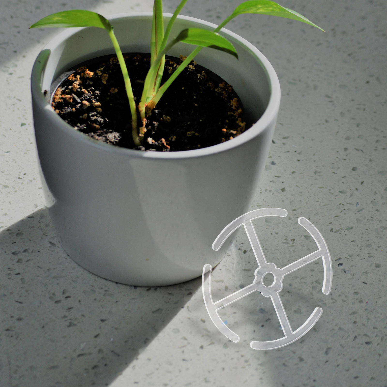 Set di 4 Supporti in Acrilico  - Bonsai Vertical Garden recensione e prezzo