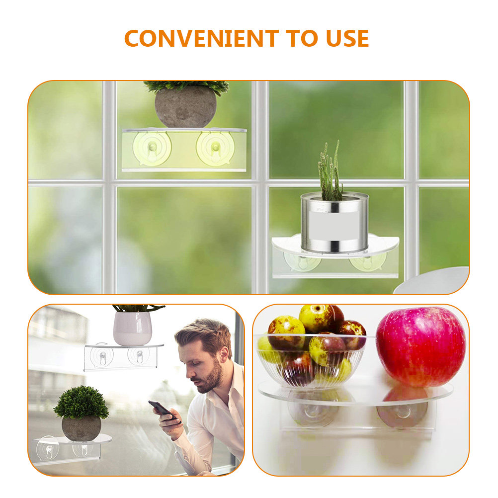 2 Pezzi Supporto per Piante in - Bonsai Vertical Garden recensione e prezzo