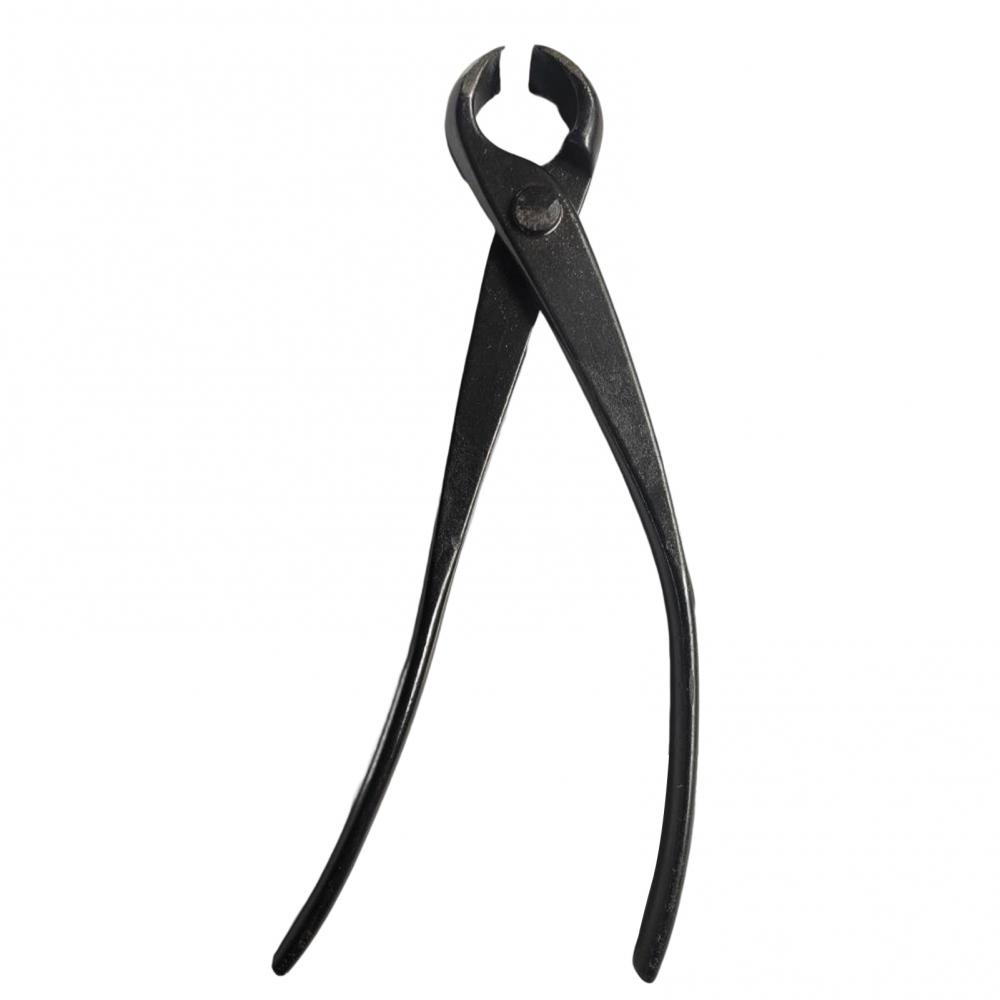 Taglierina professionale per r - Bonsai Garden Tree recensione e prezzo