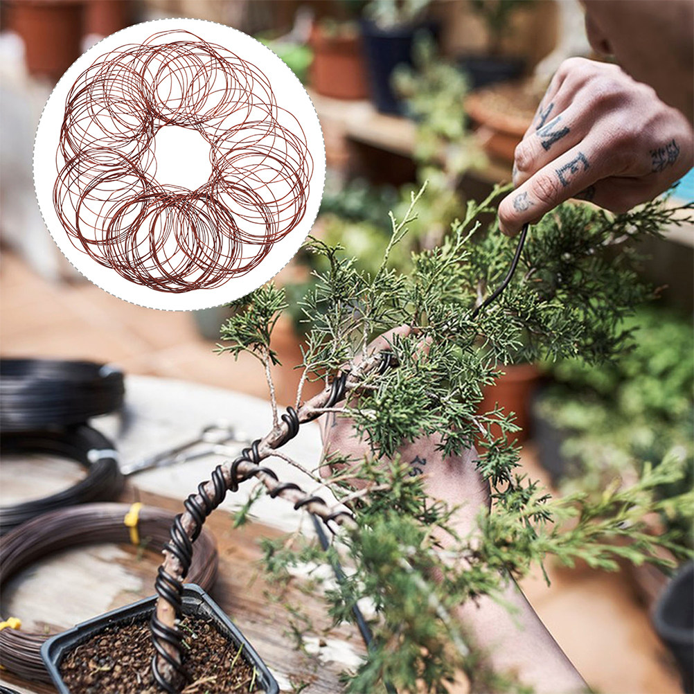 1 Rotolo di Filo di Alluminio  - Bonsai Wire Aluminum recensione e prezzo