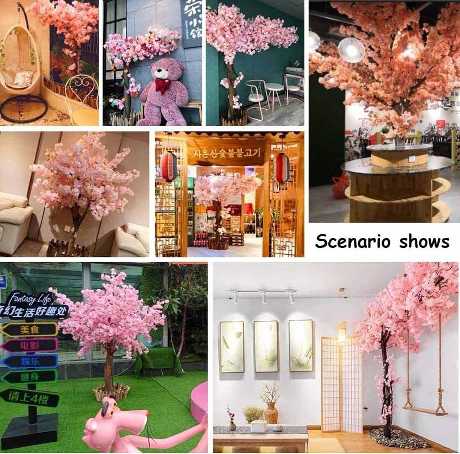 Grande Albero di Ciliegio Arti - Bonsai Garden Shop recensione e prezzo