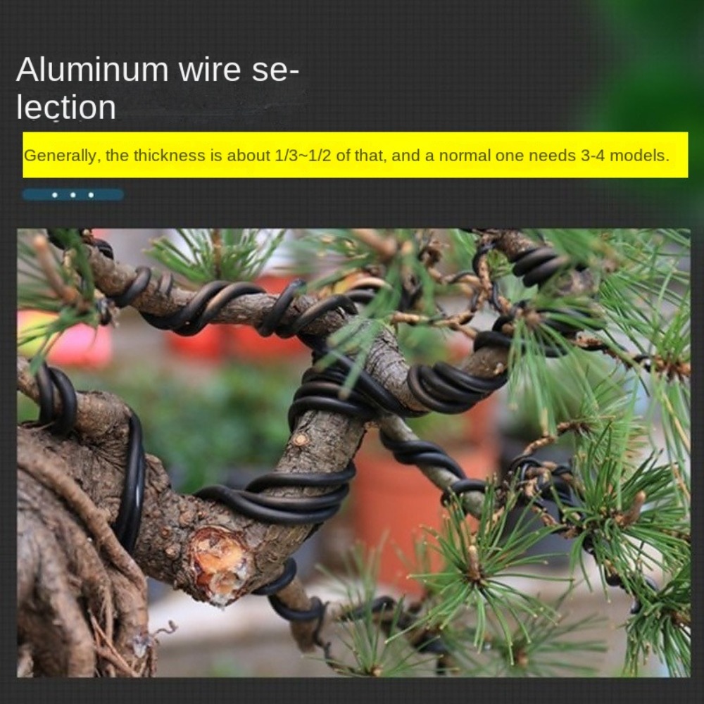 Filo per Bonsai in Alluminio,  - Bonsai Wire Aluminum recensione e prezzo