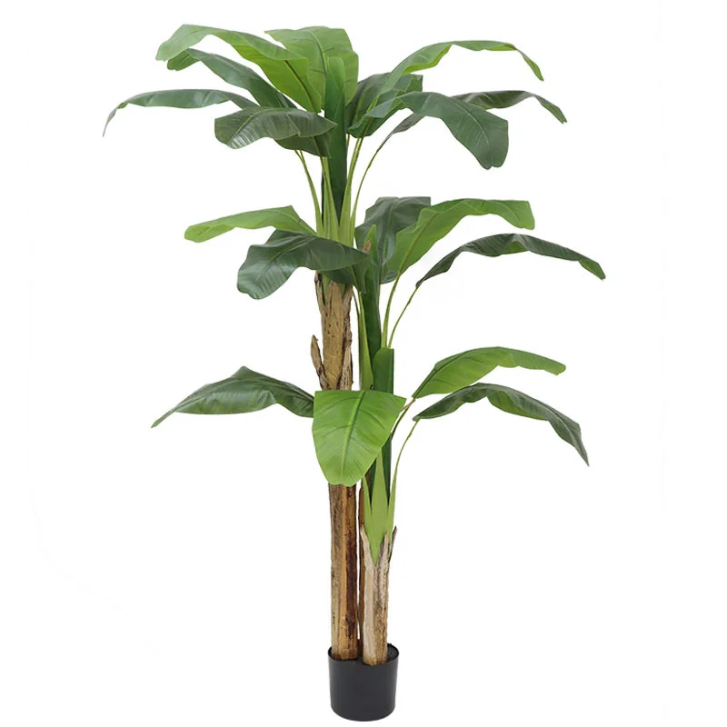 Albero di Banano Artificiale G - Bonsai Garden Restaurant recensione e prezzo