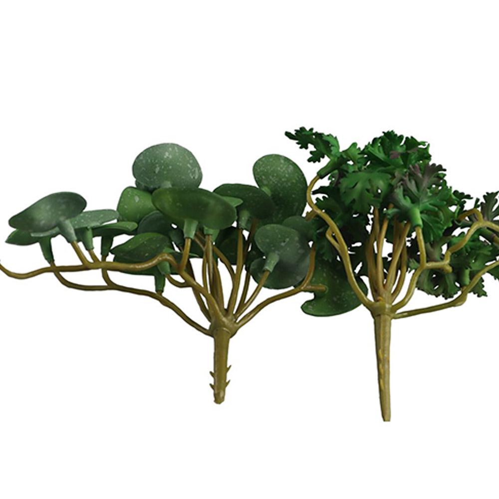 Decorazione per Casa, Ufficio  - Bonsai Garden Shop recensione e prezzo