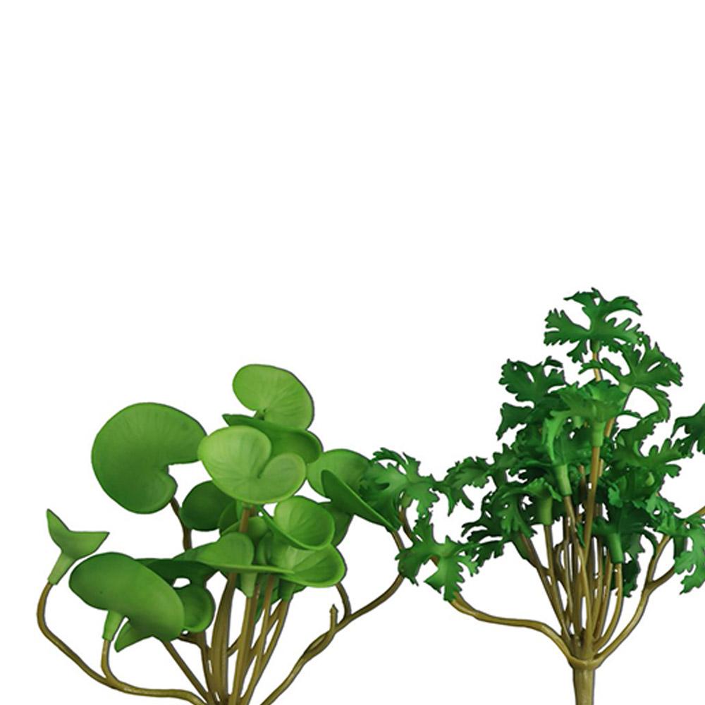 Decorazione per Casa, Ufficio  - Bonsai Garden Shop recensione e prezzo