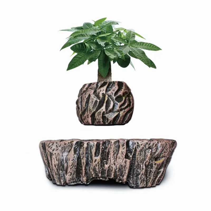 Vasi per Bonsai in Resina a Le - Bonsai Vertical Garden recensione e prezzo