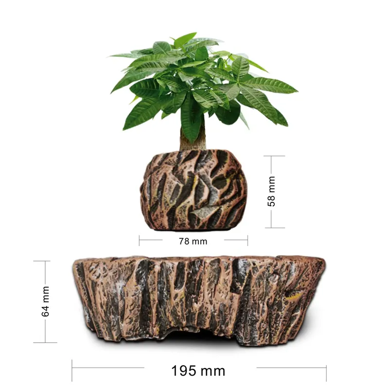 Vasi per Bonsai in Resina a Le - Bonsai Vertical Garden recensione e prezzo