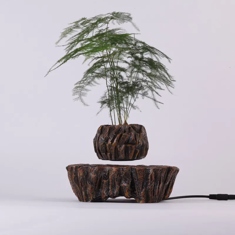 Vasi per Bonsai in Resina a Le - Bonsai Vertical Garden recensione e prezzo