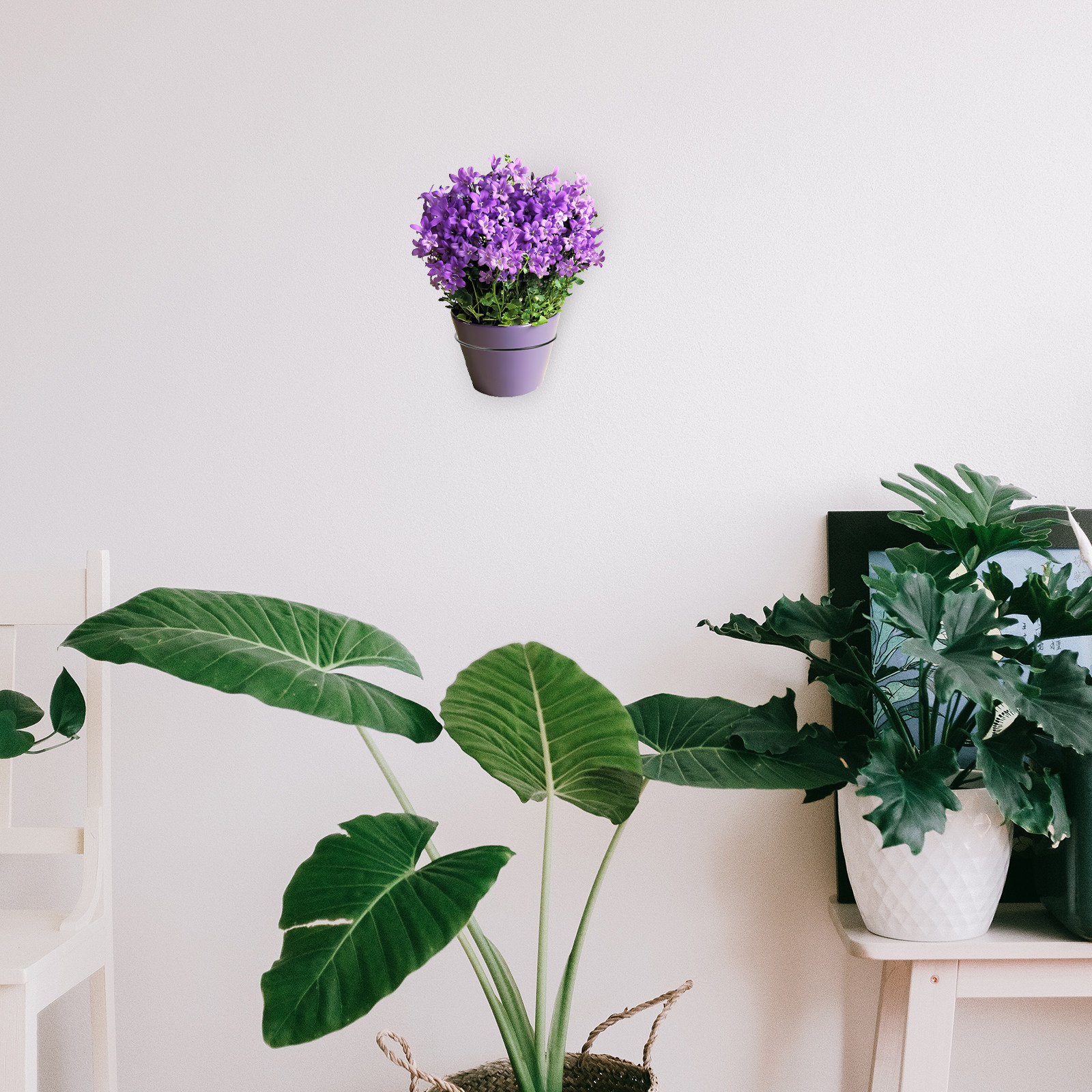 Supporto per Vasi da Fiori da  - Bonsai Vertical Garden recensione e prezzo