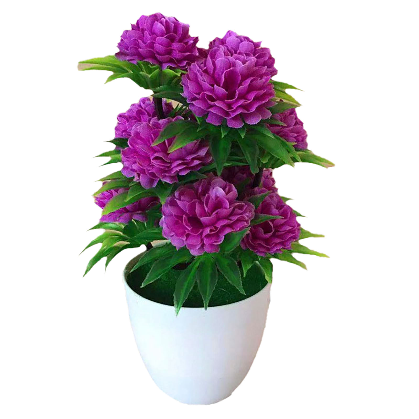 Splendida Decorazione Elegante - Bonsai Garden Shop recensione e prezzo