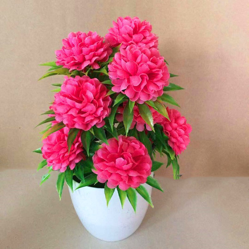 Splendida Decorazione Elegante - Bonsai Garden Shop recensione e prezzo