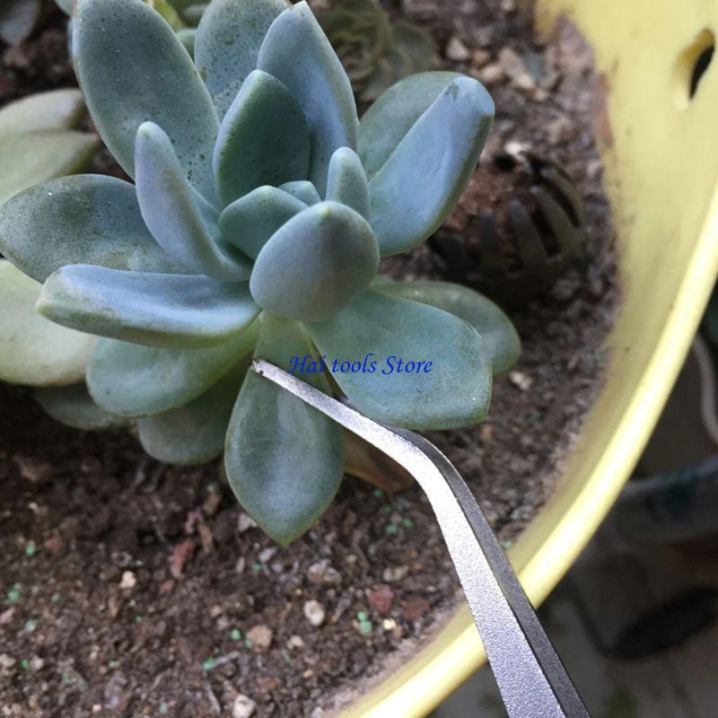 X37E 2 in 1 Spatola rastrello  - Bonsai Garden Shop recensione e prezzo