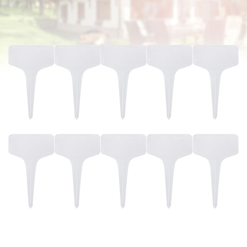 200Pcs Premium Plastic Plant M - Bonsai Garden Shop recensione e prezzo