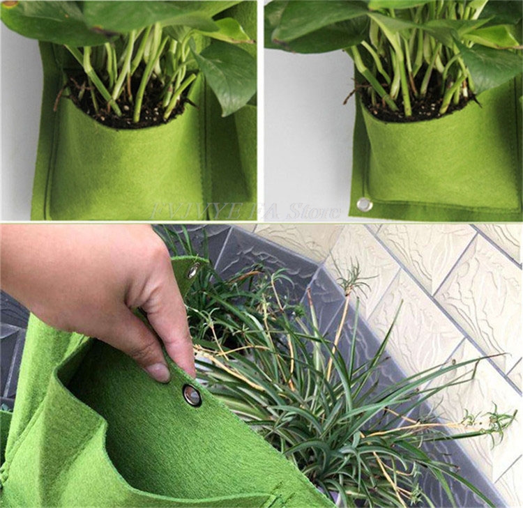 25 tasche Borse per piantare a - Bonsai Vertical Garden recensione e prezzo
