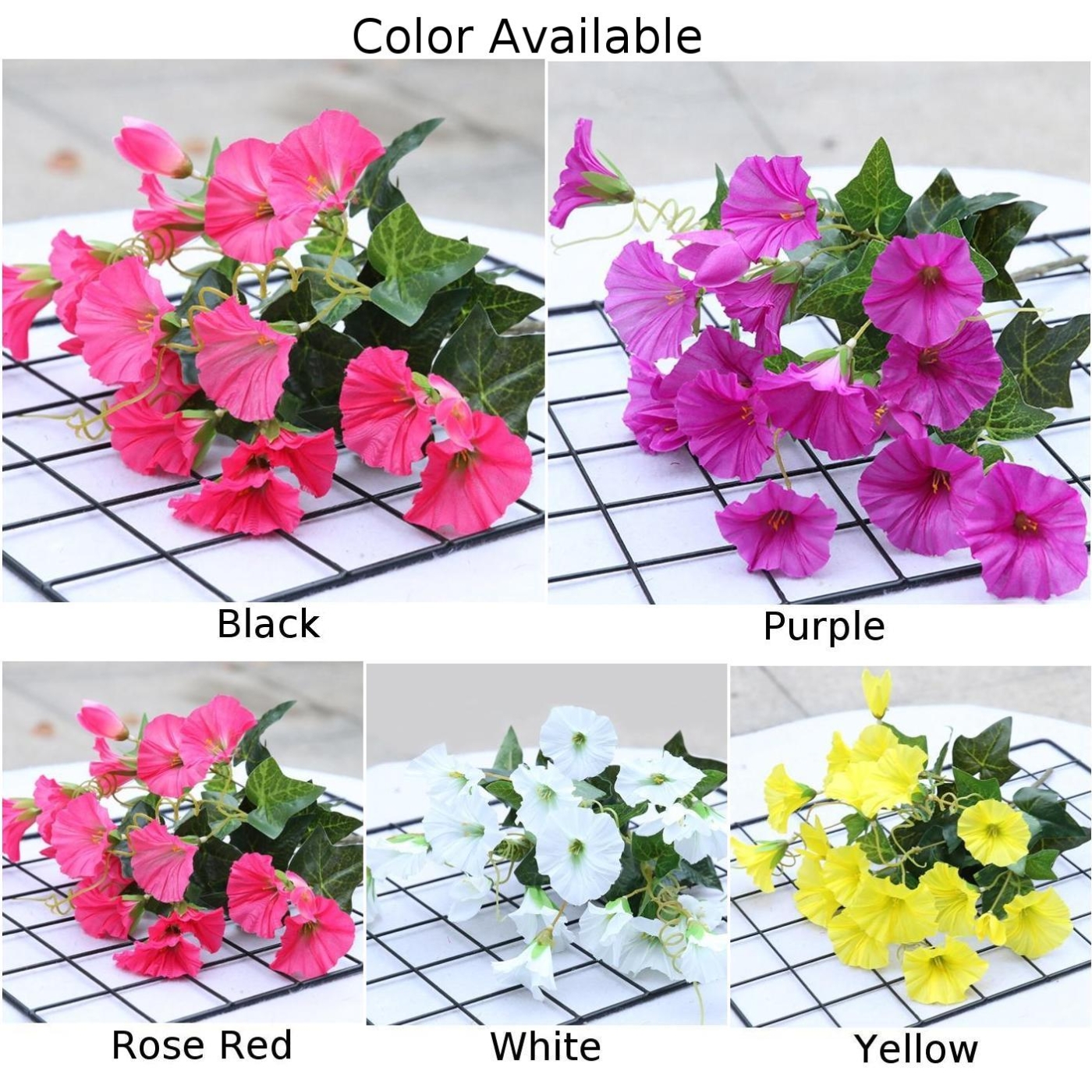 Simulazione di gloria del matt - Bonsai Garden Shop recensione e prezzo