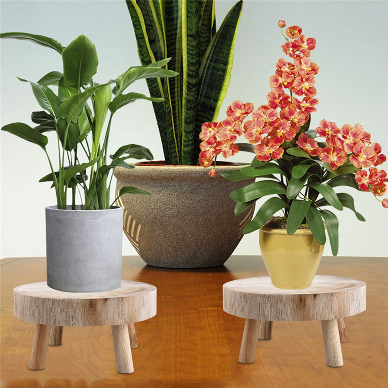 AS96-Mini Sgabello in legno Es - Up Bonsai Garden recensione e prezzo