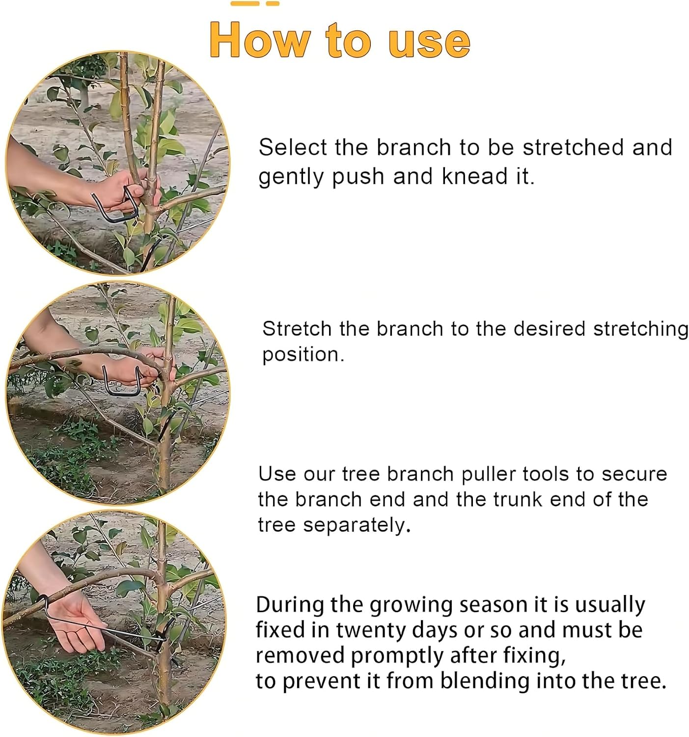 Modellatore Regolabile per Ram - Bonsai Garden Tree recensione e prezzo
