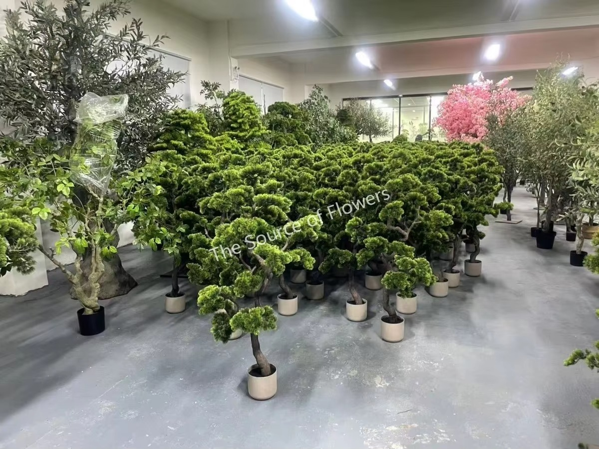 Alberi Artificiali di Cedro e  - Bonsai Garden Tree recensione e prezzo