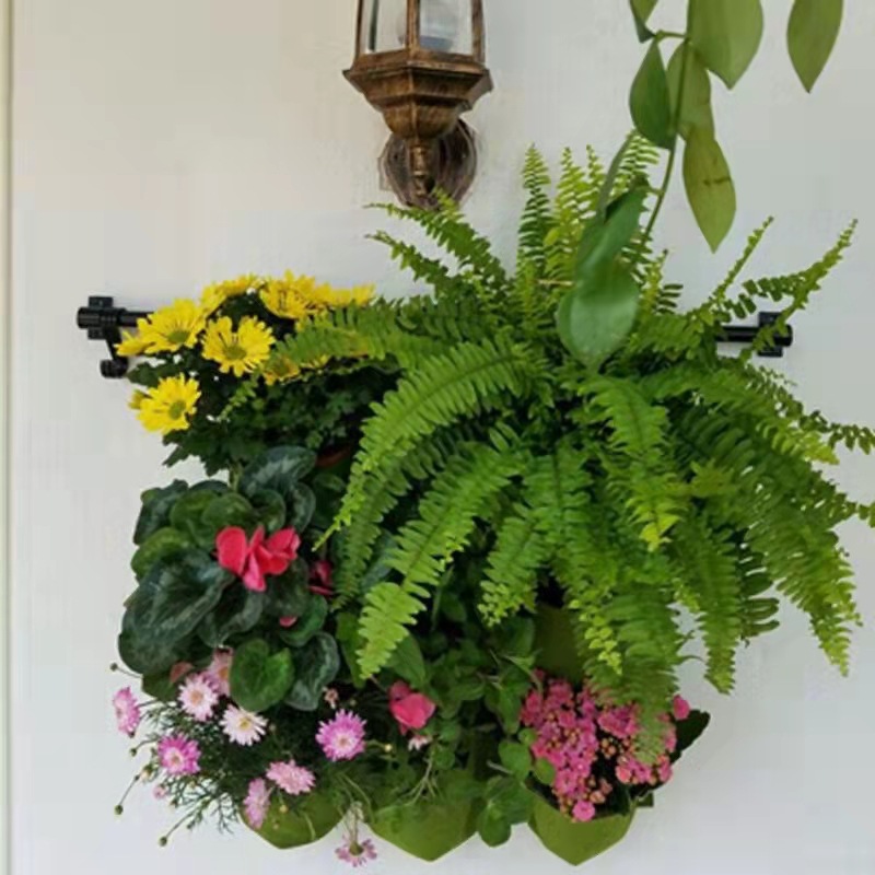 Borsa per piantare appesa a pa - Bonsai Vertical Garden recensione e prezzo