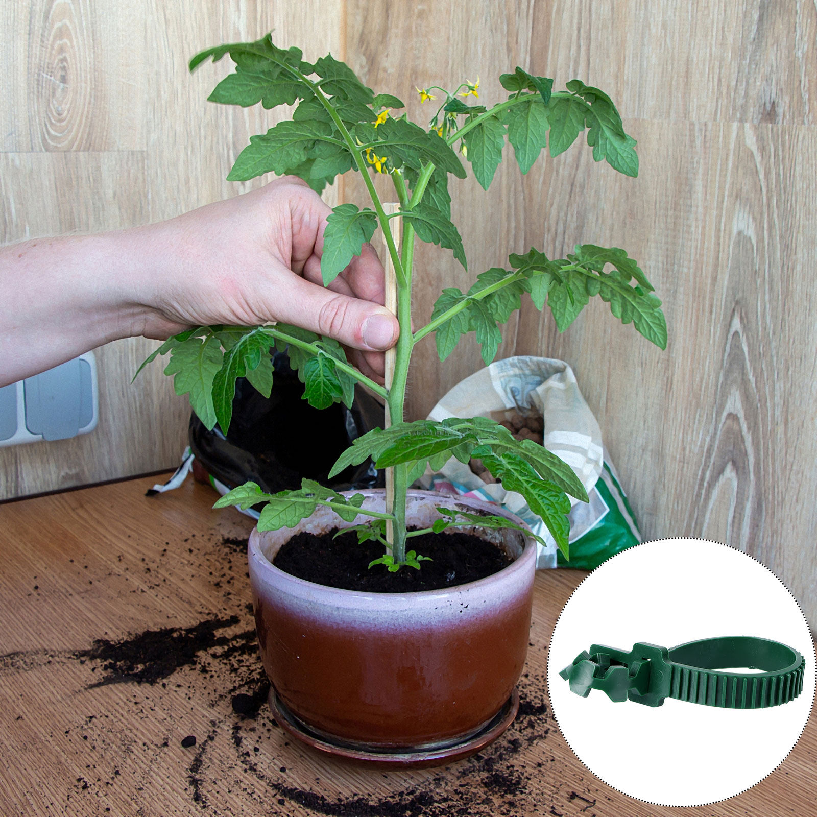20 Pezzi Clip di Fissaggio per - Bonsai Garden Tree recensione e prezzo