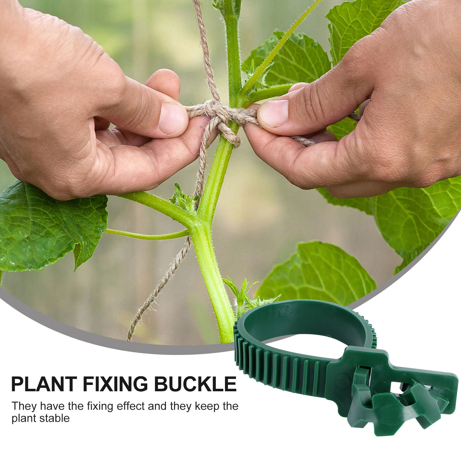 20 Pezzi Clip di Fissaggio per - Bonsai Garden Tree recensione e prezzo