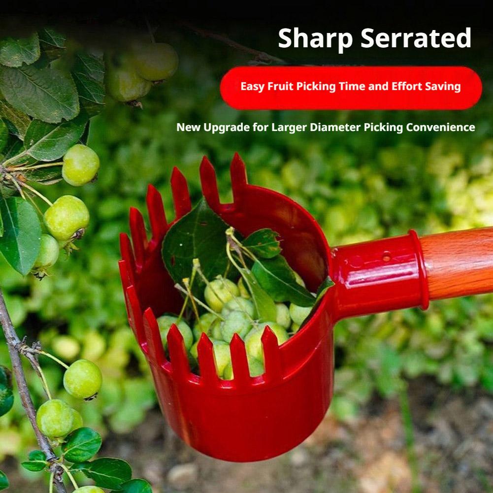 Raccogli Frutta Portatile con  - Bonsai Garden Tree recensione e prezzo