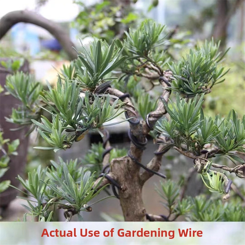 Fili per Bonsai da 1,5 mm in A - Bonsai Wire Aluminum recensione e prezzo