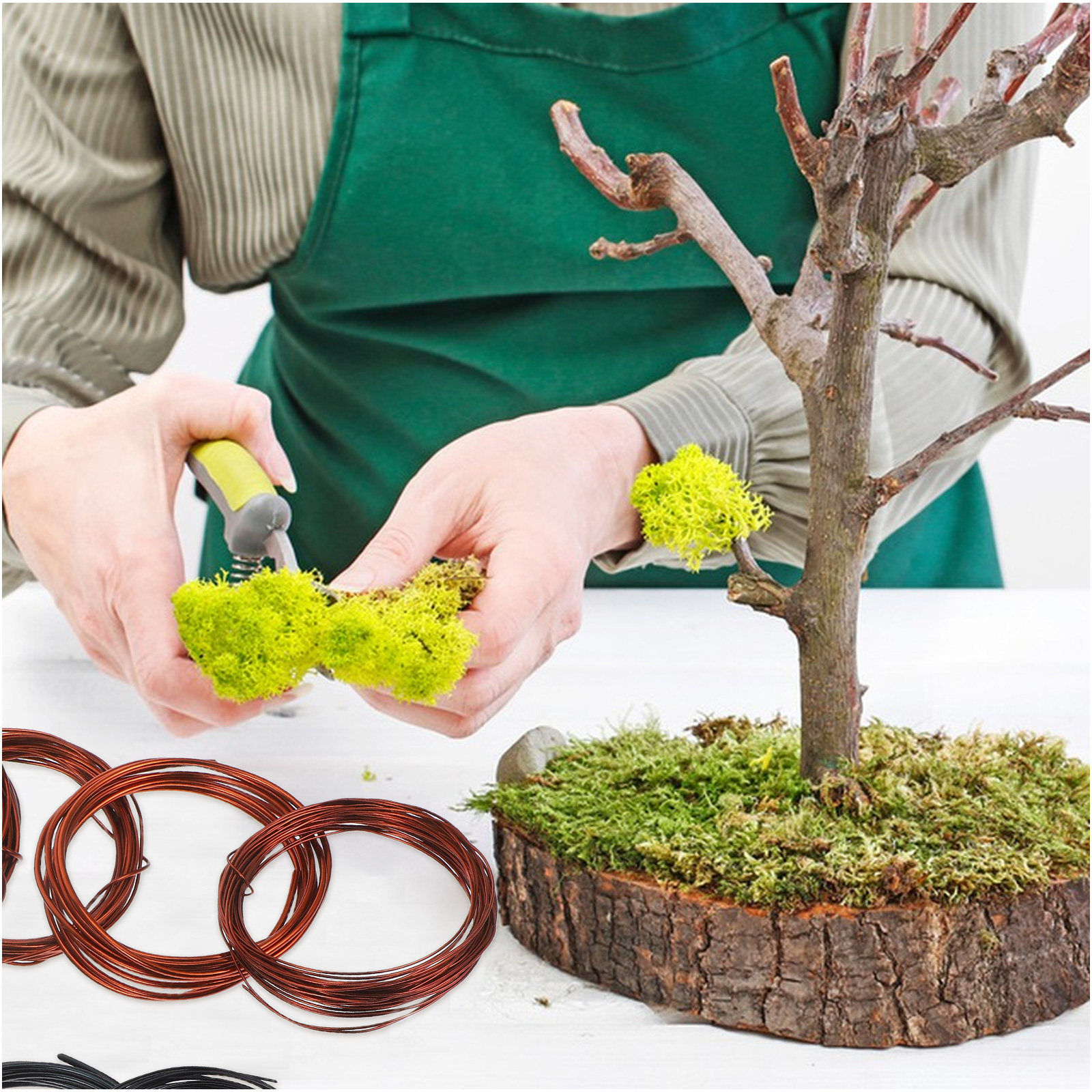 10 Pezzi Filo di Alluminio Fle - Bonsai Garden Tree recensione e prezzo