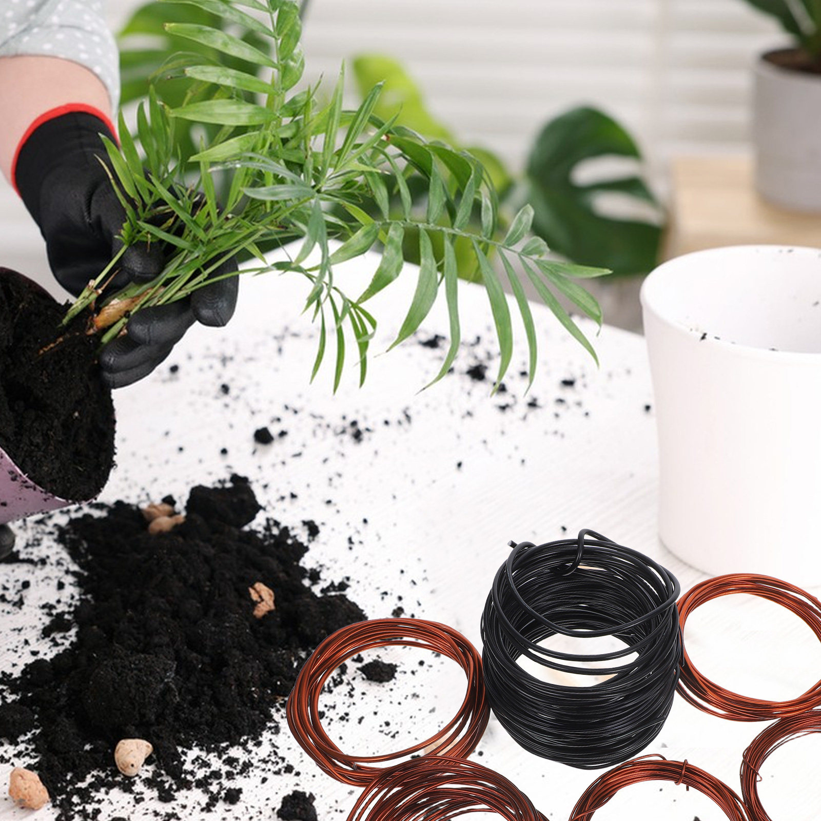 10 Pezzi Filo di Alluminio Fle - Bonsai Garden Tree recensione e prezzo