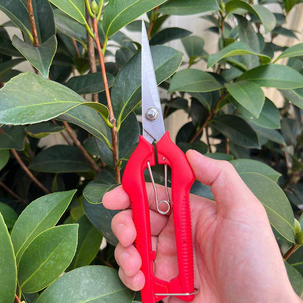 Forbici da Potatura Profession - Bonsai Garden Tree recensione e prezzo