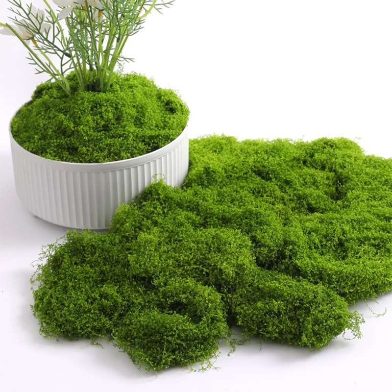 Tappetino per erba artificiale - Bonsai Garden Shop recensione e prezzo