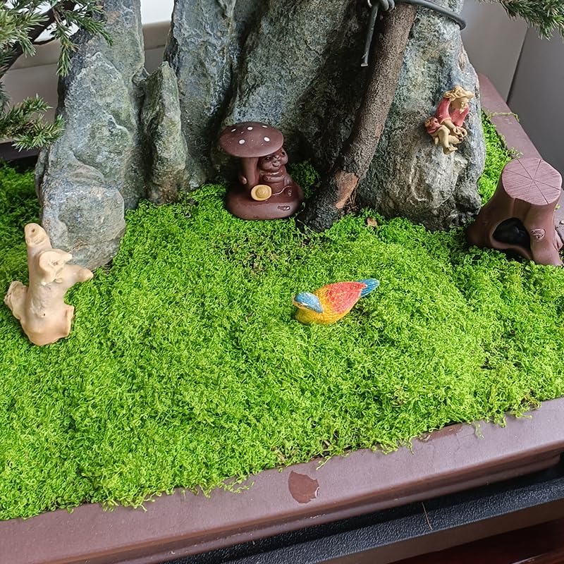 Tappetino per erba artificiale - Bonsai Garden Shop recensione e prezzo
