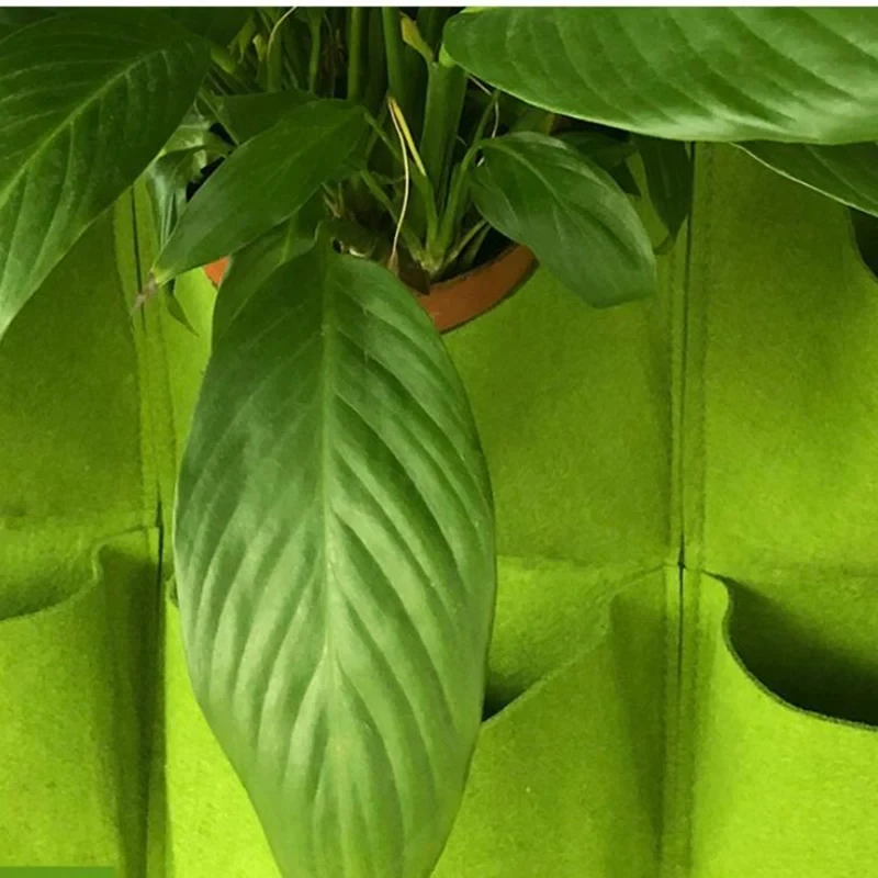 Sacco da appendere a parete pe - Bonsai Vertical Garden recensione e prezzo