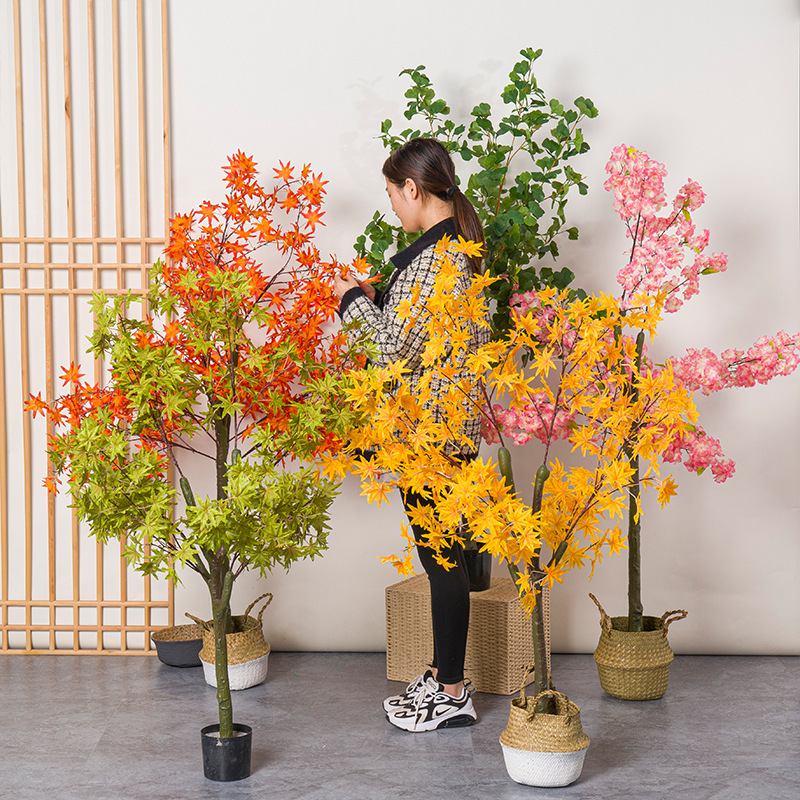 Pianta bonsai con foglie di gi - Bonsai Garden Restaurant recensione e prezzo