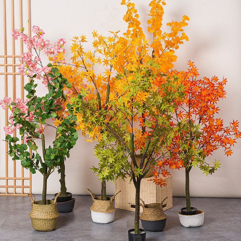 Pianta bonsai con foglie di gi - Bonsai Garden Restaurant recensione e prezzo