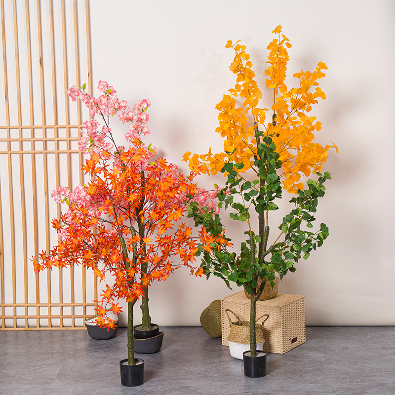 Pianta bonsai con foglie di gi - Bonsai Garden Restaurant recensione e prezzo